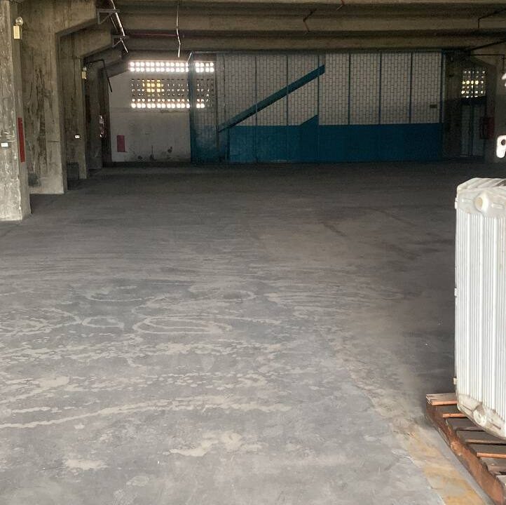 photo1698363296 (1)