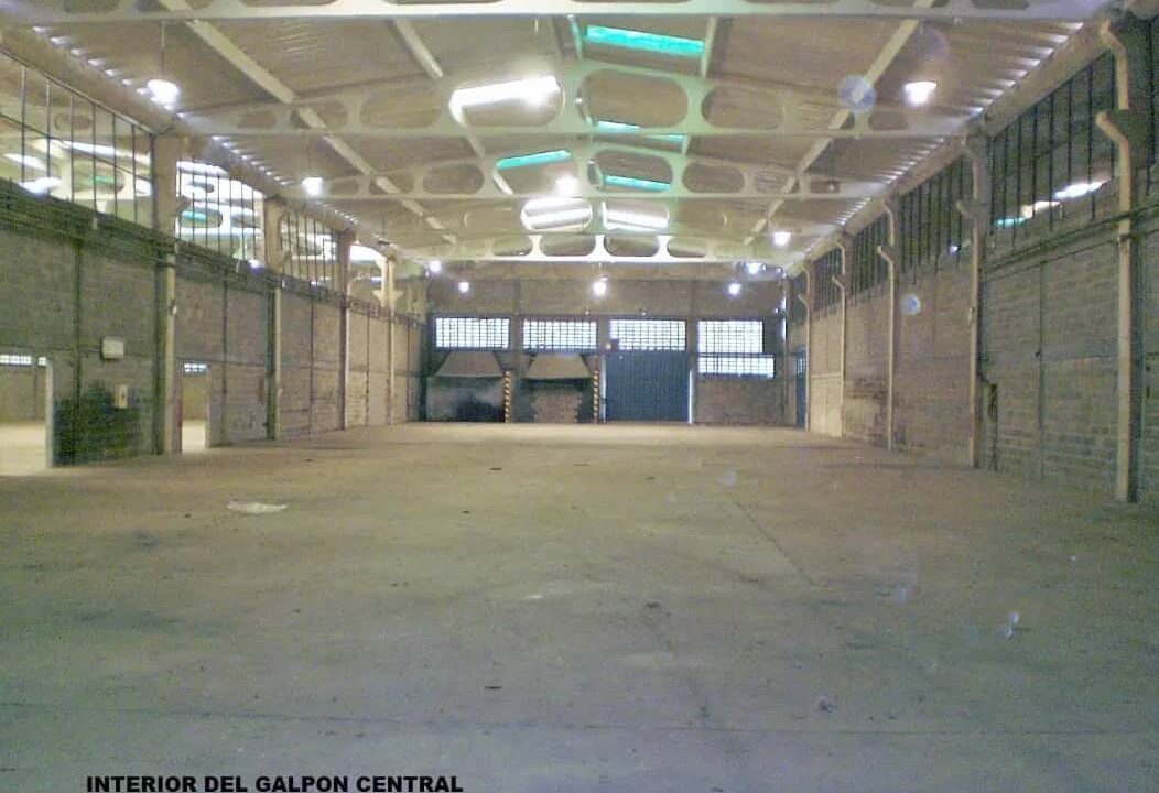 IMG-20220701-WA0024